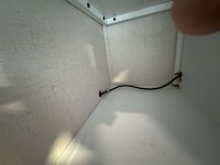 IMG_0499.jpeg