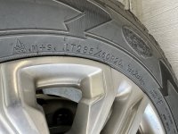 IMG_6288.jpeg