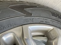 IMG_6289.jpeg