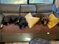 IMG_5090.jpeg