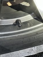 IMG_4984.jpeg