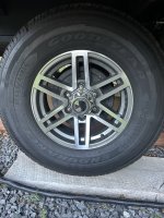 IMG_4981.jpeg