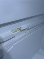 IMG_9225.jpeg IMG_9225.jpeg