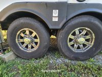 Paradigm 390 wandering bear 2 wheels.jpg