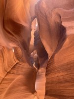 IMG_6857.jpeg
