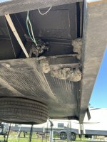 IMG_1004.jpeg