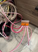 IMG_0183.jpeg