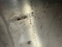 IMG_3585.jpeg