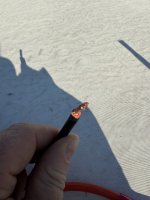 IMG_7704.jpeg