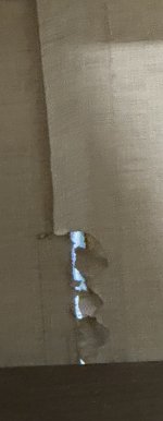 IMG_0622.jpeg