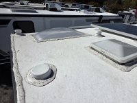 roof 1.jpg