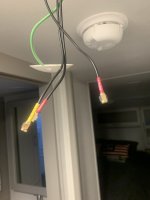 IMG_1340.jpeg