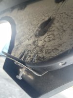 IMG_6480.jpeg