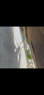 IMG_6498.png