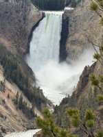IMG_8524.jpeg