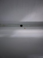 IMG_5290.jpeg