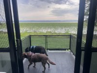 IMG_0902.jpeg