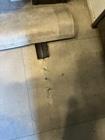 IMG_1674.JPEG