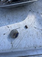 IMG_7958.jpeg