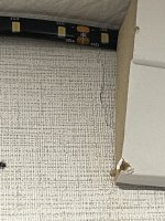 IMG_2169.jpeg